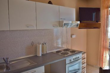 fully equipped kitchen, dining room, LCD TV with satellite programs
